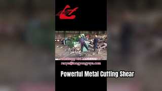 Cizalla de cocodrilo Q43-2500