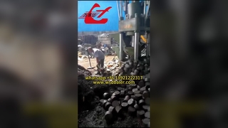 Prensa briquetadora 111